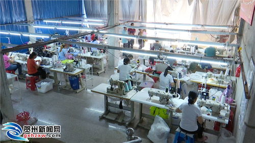昭平縣 多措并舉優化企業服務，全力推動民營經濟跑出發展“加速度”