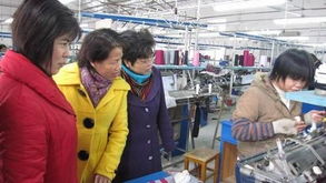 廣西賀州市僑務(wù)部門深入一線調(diào)研，精準(zhǔn)服務(wù)僑資企業(yè)促發(fā)展